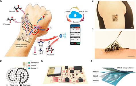 Biofuel Powered Soft Electronic Skin With Multiplexed And Wireless