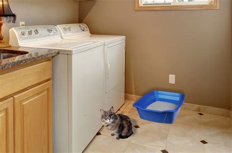 How do you keep cat litter off the floor? Giant Cat Litter Pan (product) - Van Ness Pets