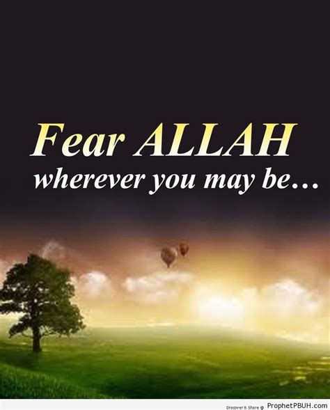 Fear Allah Islamic Quotes About Taqwa Fear And Mindfulness Of God