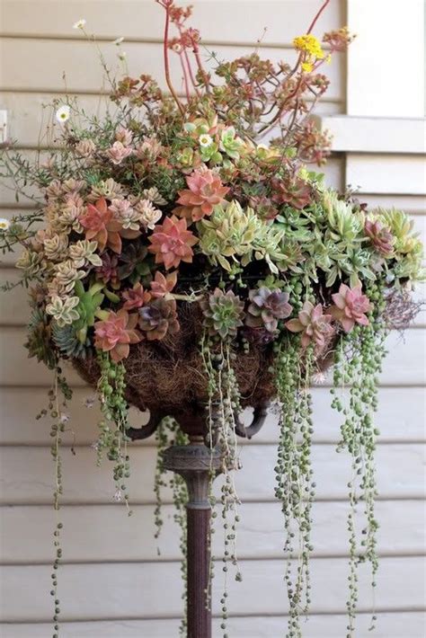 The key to garden zoning is using different textures, colours or materials to differentiate between the areas. Creative Indoor And Outdoor Succulent Garden Ideas 2017
