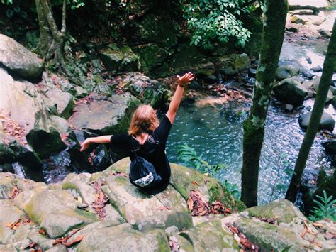 Check spelling or type a new query. Waterfall, Kokol hill, Kota Kinabalu, sabah, Borneo ...