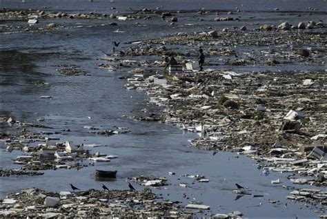 Water Pollution Worries In Developing World Ecomena