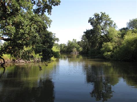 Browse the most recent santa rosa, california obituaries and condolences. IMG_0019 | Laguna de Santa Rosa from the temporary bridge ...