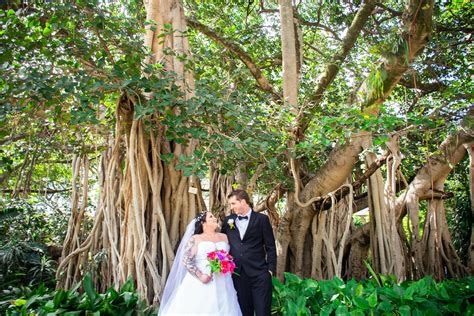 Brisbane Botanic Gardens Wedding Brisbane Marriage Celebrant