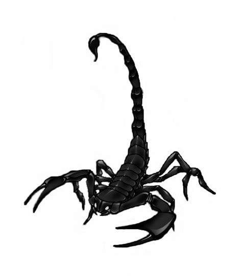 1000 Images About Scorpion Clipart Logos Scorpio Clipart Best