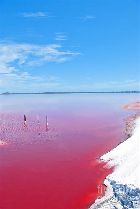 Pink Lake In Australia Lake Hillier Middle Island Australia Lake