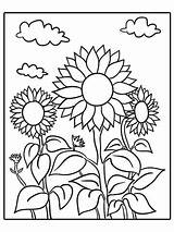 Coloring Summer Pages Printable Kids 색칠 공부 Sunflower Kindergarten Flower Adult Parents Sunflowers Sheets 해바라기 Color 그림 여름 색칠하기 Spring sketch template