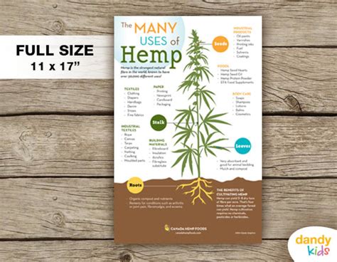 the many uses of hemp poster 11 x 17 wall art printable instant download etsy