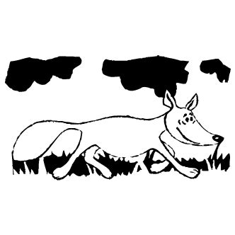 Vectores de Zorro - Todo Vector