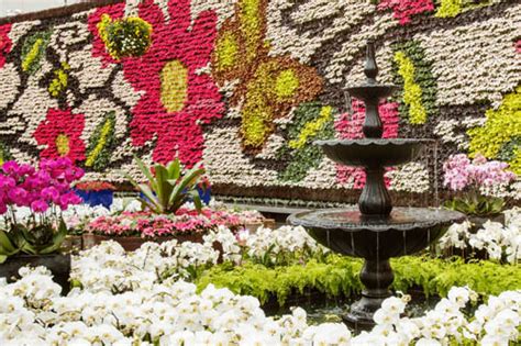 Get deals with coupon and discount code! All About Flowers Plant Sale - Sydney