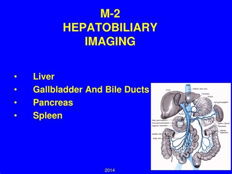 Ppt M 2 Hepatobiliary Imaging Powerpoint Presentation Free Download