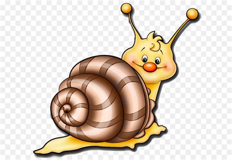 63+ Gambar Hewan Siput Kartun HD - Gambar Hewan