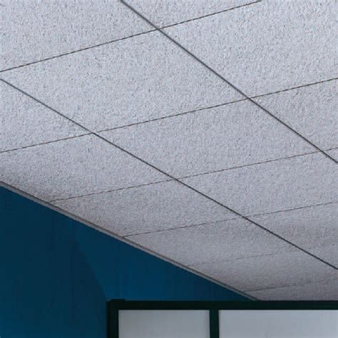 Usg Frost Acoustical Ceiling Panels Shelly Lighting