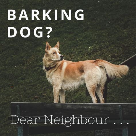 How To Write A Letter To Your Neighbour About Their Barking Dog