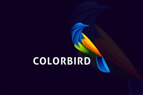 Modern Colorful Bird Logo Design Template Place