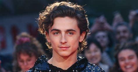 Timothée Chalamets 15 Best Movies According To Rotten Tomatoes