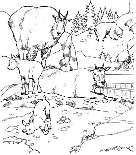 Free Biome Coloring Pages Coloring Home