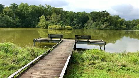 Hike Fossil Beach At York River State Park In Williamsburg