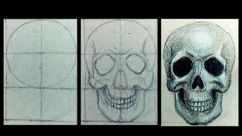How To Draw A Realistic Skull Narrated Step By Step Youtube