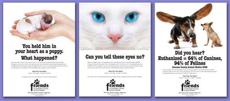 Animal Rescue Marketing Inspiration Charitypaws