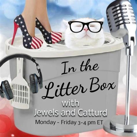 Sex Slave Missing In The Litter Box W Jewels And Catturd Ep 483 1 9 2024 Listen Notes