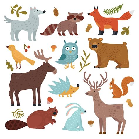 Premium Vector Forest Animals Wolf Raccoon And Fox Bear And Owl
