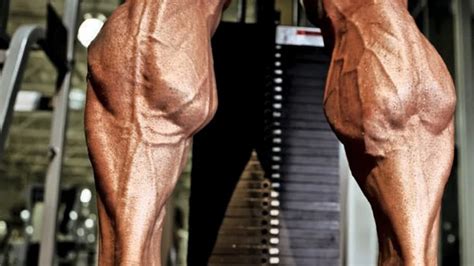 The Last Guide For Bigger Calves Youll Ever Need Fitness Volt