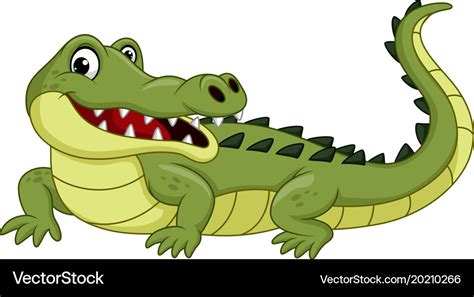 Cartoon Crocodile Isolated On White Background Vector Image