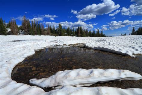 Melting Snow In The Mountains Stock Photo Image Of Ecology Beauty