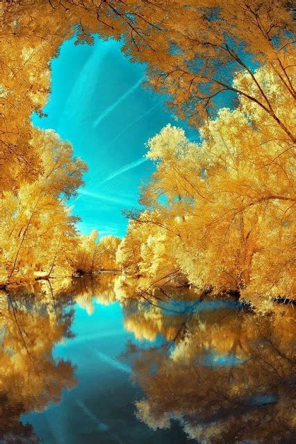 Awesome Yellow Nature Hd High Definition Wallpapers ~ Amazing World