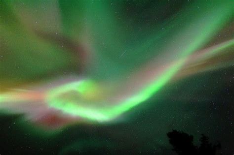 Aurora Borealis Coronal Display Near Fairbanks Alaska On March 25