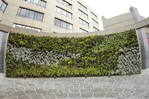 8 Reasons Why Green Walls Are A Must Schaduf
