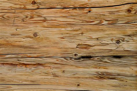 Free Images Board Texture Plank Floor Trunk Old Pattern Lumber