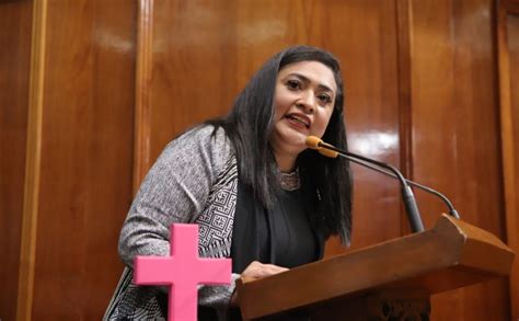 María Del Carmen De La Rosa Mendoza Marcaje Legislativo