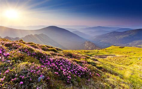 Mountain Meadow Wallpapers Top Free Mountain Meadow Backgrounds