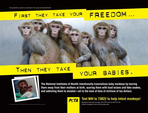 Peta S Metro Ad Blitz Blasts Nih S Cruel Experiments On Baby Monkeys Peta