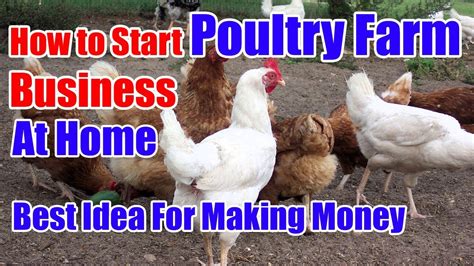 How To Start A Poultry Farm Business At Home Youtube