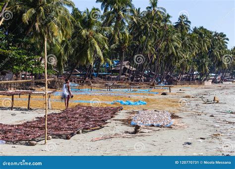 Thandwe Village Ngapali Beach In Myanmar Editorial Photo Image Of