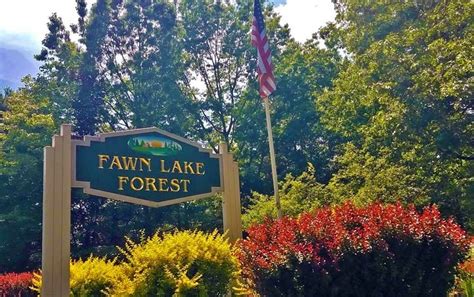 Fawn Lake Forest Poconogo