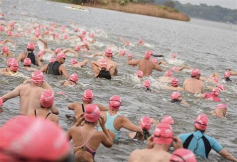 Swim Across America The Johns Hopkins Kimmel Cancer Center