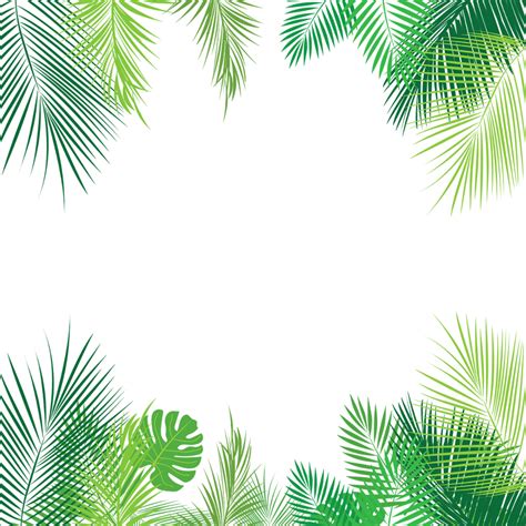 download hd tropical leaves palmleaves summer border overlay freeto tropical leaves border png
