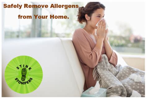 Allergy Relief Odor Removal Salt Lake City Stink Stompers Utah