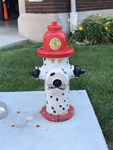 This Fire Hydrant Is A Dalmatian Dog Rmildlyinteresting