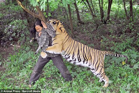 Youre Grrrrrrreat Mans Unbreakable Bond With Bengal Tiger