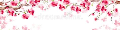 Blooming Sakura Japan Cherry Branch With Pink Flowers Panorama Sakura