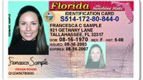 Floridas Balky Database Sometimes Delays Drivers License Renewals