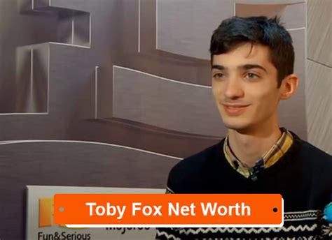 Toby Fox Net Worth 2022 Earning Bio Age Height Career
