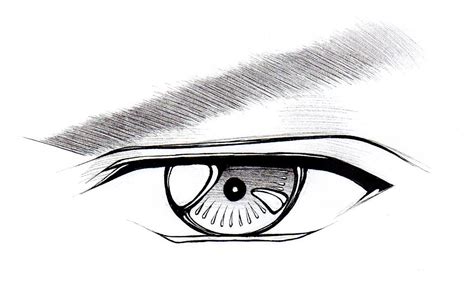 How To Draw Male Eyes Part 1 Manga University Campus Store