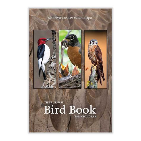 The Burgess Bird Book With New Images Living Book Press