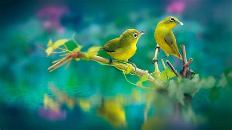 Cute Yellow Birds Are Sitting On Stick In Body Of Water
